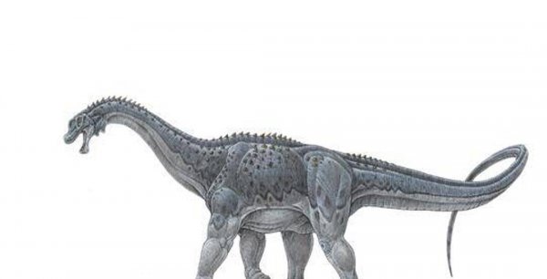 陆地上最大的动物