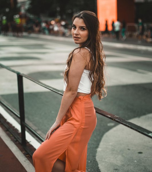 意大利人口数量及面积