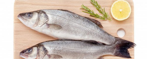 清蒸什么鲈鱼好吃又营养