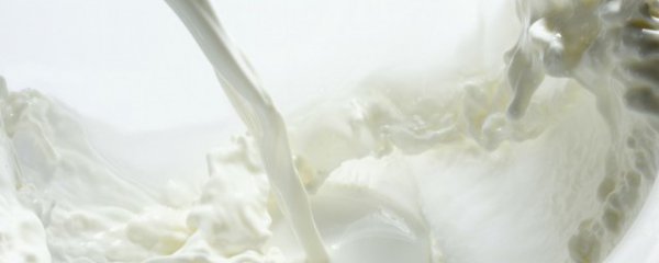 牛奶过期可以浇什么花