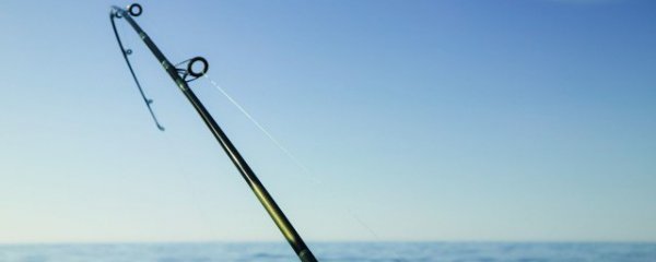 用什么做鱼饵最好