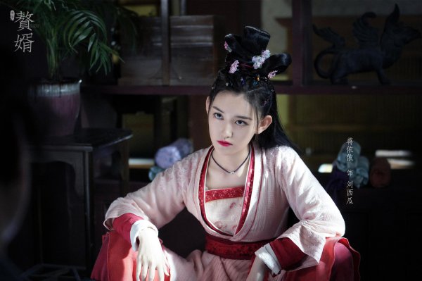 赘婿中宁毅12个女人都有谁