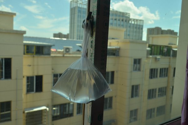 驱蚊子最有效的方法