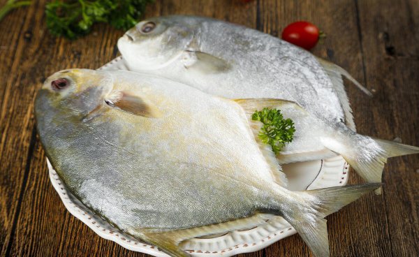 金鲳鱼和银鲳鱼哪个好哪个贵