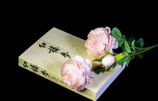 红楼梦又名叫什么名字