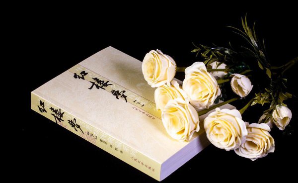 红楼梦又名叫什么名字