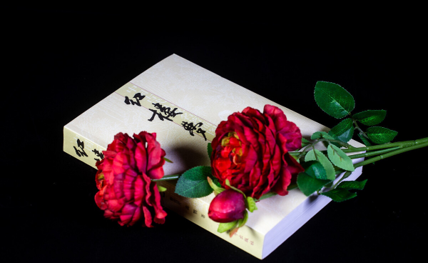 红楼梦又名叫什么名字