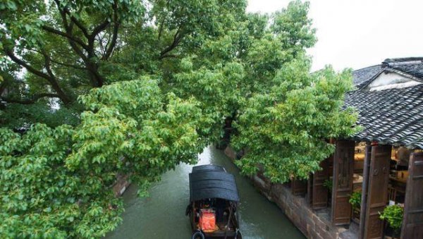 真正的江南水乡在哪个地方