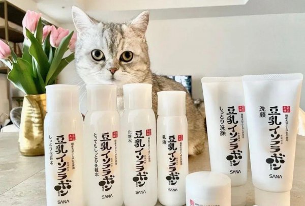 日本本土著名护肤品牌