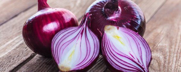 洋葱发芽了还可以吃吗