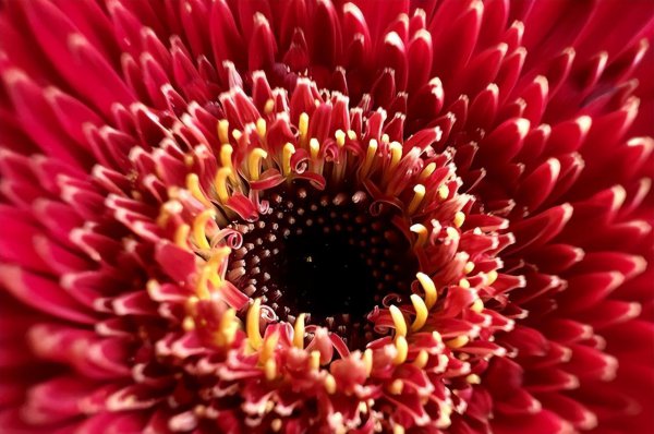 苹果pro和max区别