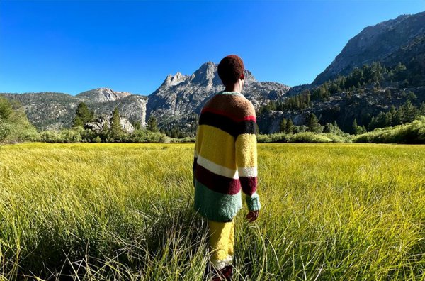 苹果pro和max区别