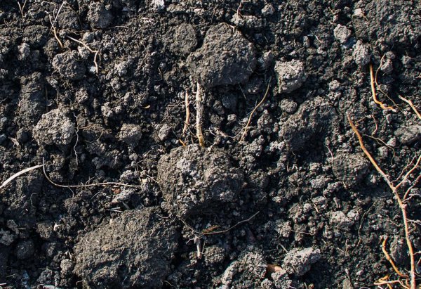 乌克兰地形以什么为主