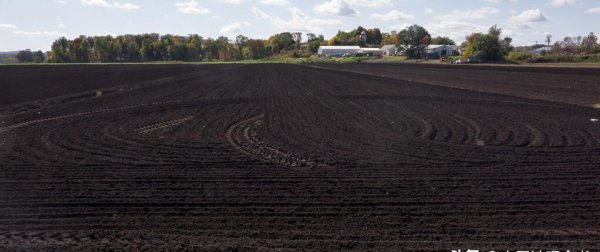 乌克兰地形以什么为主