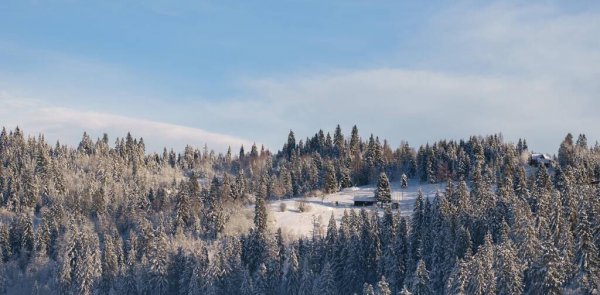 乌克兰地形以什么为主