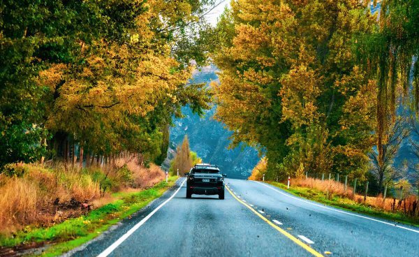 碗碎了预示什么