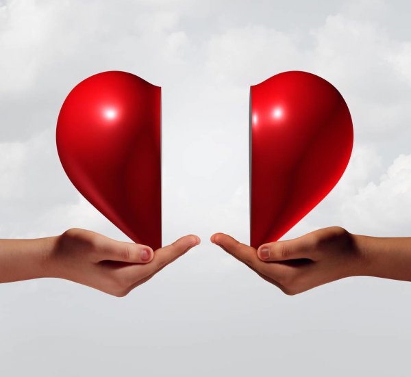 离婚不离家什么意思