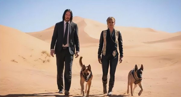 动作片排行榜前十名电影