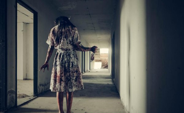 僵尸末日小说排行榜前十名