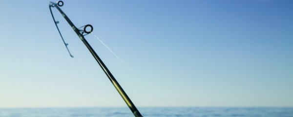 怎样判断鱼竿是否正品钓鱼