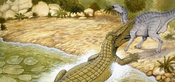 地球上最凶猛的动物有哪些