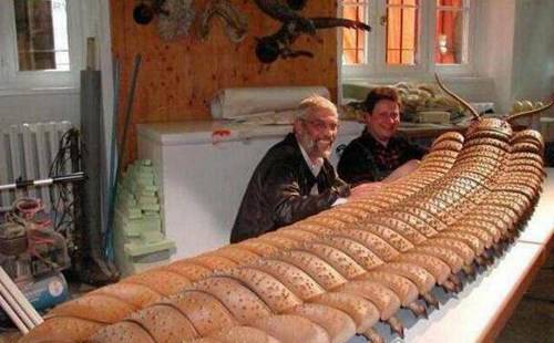 地球上最凶猛的动物有哪些