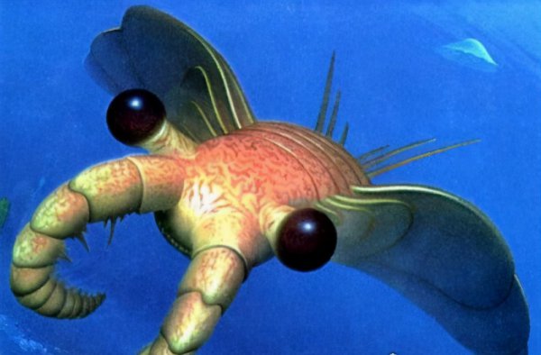 地球上最凶猛的动物有哪些