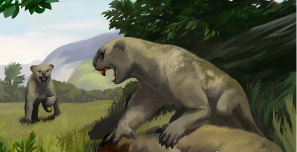 地球上最凶猛的动物有哪些