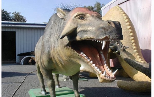 地球上最凶猛的动物有哪些