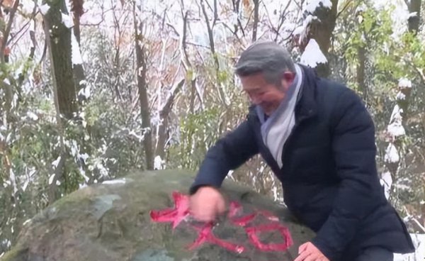 陈东升的简介资料