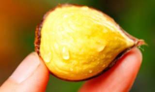 糖炒栗子密封保存 开封糖水栗子保存方法