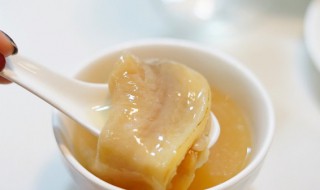 巴沙鱼胶配什么炖汤好 巴沙鱼胶可以和什么一起炖