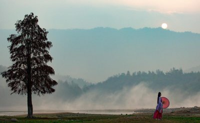 夏虫不可语冰是什么意思 夏虫不可语冰有哪些道理