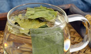 冬瓜荷叶茶隔夜能喝吗 冬瓜荷叶茶隔了一夜还可以喝吗