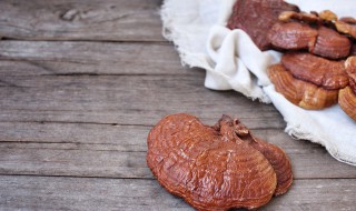 人工种植灵芝方法 灵芝如何人工种植