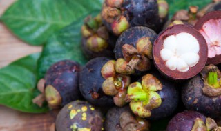 山竹果怎么挑选 山竹果如何挑选