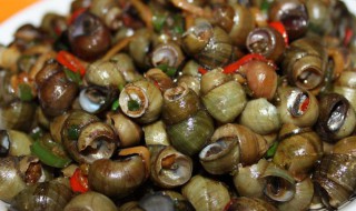 新鲜泥螺怎么做醉泥螺 如何做做醉泥螺