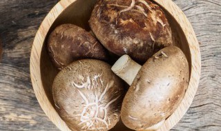新鲜香菇怎么长期保鲜保存 新鲜香菇如何保存