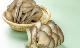 新鲜蘑菇放多久不能吃 蘑菇放冰箱多久不能吃