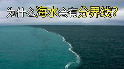 海水盐度一般是多少 为什么不同地方的海水有分界线