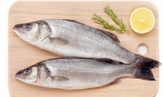 清蒸什么鲈鱼好吃又营养 怎么清蒸鲈鱼好吃又营养