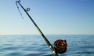 用什么做鱼饵最好 钓鱼用哪种鱼饵哪最好