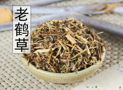 老鹤草简介 老鹤草与老鹳草的图片区别