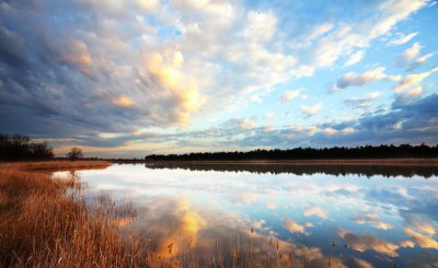阿尔法脑波音乐是什么东西 阿尔法脑波音乐的作用原理