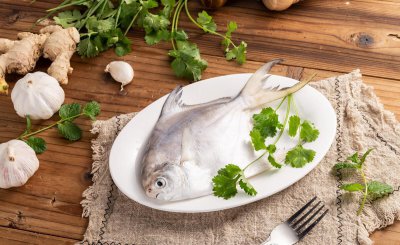 金鲳鱼和银鲳鱼哪个好哪个贵 哪种鱼口感味道更好吃