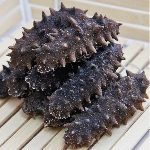 干海参保存方法冷藏还是冷冻 海参这样保存能保存更长时间