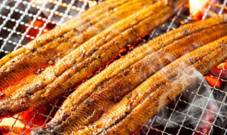 开店烤鱼用什么烤的好 开店烤鱼用如何烤的好