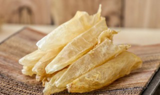 孕期鱼胶做法 备孕鱼胶的正确炖法