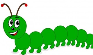 判断蜈蚣公母该怎么判断 判断蜈蚣公母该如何判断