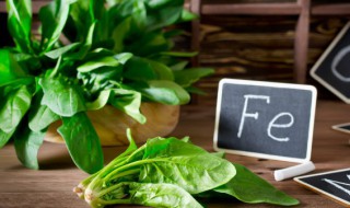 菠菜和香菇能一起吃吗 菠菜和香菇可以一起食用吗